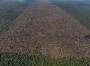 Desmatamento-em-Labrea-municipio-do-sul-do-Amazonas-Foto-Victor-Moriyama-Amazonia-em-Chamas-2021-2-1280x720